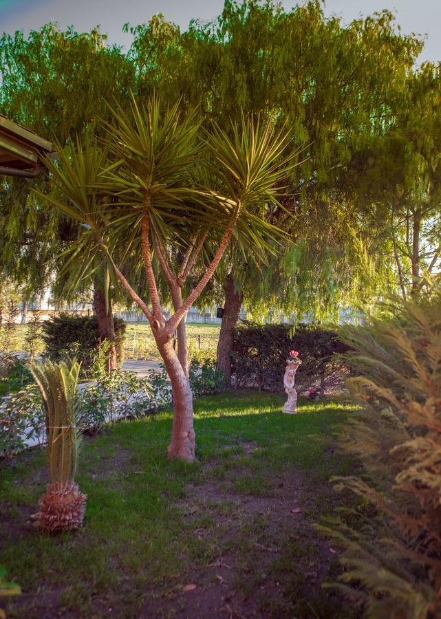 My Svago Hotel Mariglianella Bagian luar foto